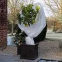 Nature Anti-Frost Polar Winterschlafschleier weiß 30 g/m² 1x10 m von Nature, Gartenzubehör - Ref: Foro24-434643, Preis: 14,30...