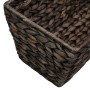 Conjunto de jardineras 2 unidades jacinto de agua marrón by vidaXL, Pots and planters - Ref: Foro24-45578, Price: 74,86 €, Di...