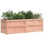 Douglasie Pflanzgefäß aus massivem Tannenholz 150x50x50 cm von , Töpfe und Pflanzgefäße - Ref: Foro24-837487, Preis: 141,26 €...