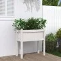 Pflanzgefäß mit Füßen massives Kiefernholz weiß 70x31x70 cm von , Töpfe und Pflanzgefäße - Ref: Foro24-837556, Preis: 48,23 €...