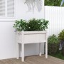 Pflanzgefäß mit Füßen massives Kiefernholz weiß 70x31x70 cm von , Töpfe und Pflanzgefäße - Ref: Foro24-837556, Preis: 48,93 €...