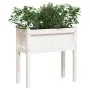 Pflanzgefäß mit Füßen massives Kiefernholz weiß 70x31x70 cm von , Töpfe und Pflanzgefäße - Ref: Foro24-837556, Preis: 48,23 €...