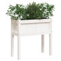 Pflanzgefäß mit Füßen massives Kiefernholz weiß 70x31x70 cm von , Töpfe und Pflanzgefäße - Ref: Foro24-837556, Preis: 48,93 €...