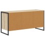 Gabinete de TV Sonoma 100 x 36 x 49,5 cm Madera contrachapada