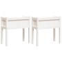 Jardineras exterior con patas 2 uds madera maciza pino blanco de , Maceteros y jardineras - Ref: Foro24-837557, Precio: 88,17...