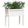 Jardineras exterior con patas 2 uds madera maciza pino blanco de , Maceteros y jardineras - Ref: Foro24-837557, Precio: 88,17...