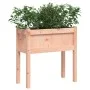 Planter with solid Douglas fir wood legs 70x31x70 cm by , Pots and planters - Ref: Foro24-837560, Price: 43,12 €, Discount: %