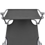 Tumbona plegable con toldo de acero gris de vidaXL, Tumbonas - Ref: Foro24-44291, Precio: 59,39 €, Descuento: %