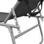 Folding sun lounger with gray steel awning by vidaXL, Loungers - Ref: Foro24-44291, Price: 60,73 €, Discount: %