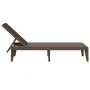 Brown PP lounger 186x60x29 cm by , Loungers - Ref: Foro24-364217, Price: 97,67 €, Discount: %