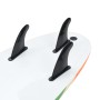 Tabla de surf 170 cm boomerang