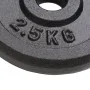 Gusseisen-Hantelscheiben 8 Stück 2,5 kg von vidaXL, freies Gewicht - Ref: Foro24-91391, Preis: 86,27 €, Rabatt: %