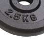Gusseisen-Hantelscheiben 8 Stück 2,5 kg von vidaXL, freies Gewicht - Ref: Foro24-91391, Preis: 88,03 €, Rabatt: %
