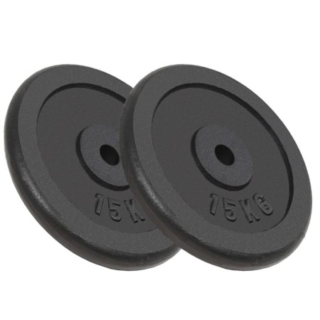 Gusseisen-Hantelscheiben 2 Stück 2x15 kg von vidaXL, freies Gewicht - Ref: Foro24-91396, Preis: 126,07 €, Rabatt: %