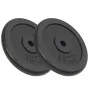 Discos de pesas de hierro fundido 2 uds 2x15 kg de vidaXL, Peso libre - Ref: Foro24-91396, Precio: 123,67 €, Descuento: %