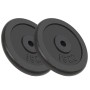 Gusseisen-Hantelscheiben 2 Stück 2x15 kg von vidaXL, freies Gewicht - Ref: Foro24-91396, Preis: 126,07 €, Rabatt: %