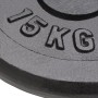 Gusseisen-Hantelscheiben 2 Stück 2x15 kg von vidaXL, freies Gewicht - Ref: Foro24-91396, Preis: 126,07 €, Rabatt: %