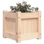 Pflanzgefäß aus massivem Kiefernholz, 31 x 31 x 31 cm von , Töpfe und Pflanzgefäße - Ref: Foro24-837394, Preis: 22,80 €, Raba...