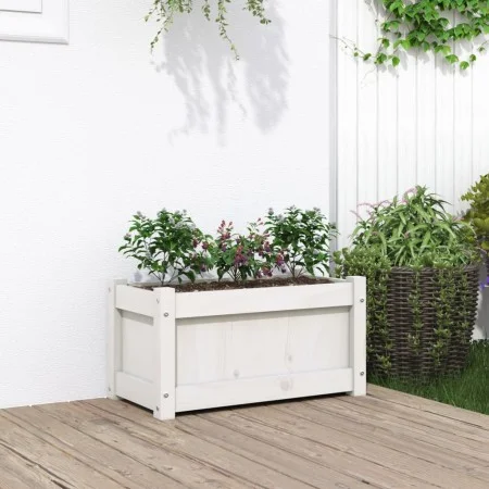 Jardinera de madera maciza de pino blanca 60x31x31 cm de , Maceteros y jardineras - Ref: Foro24-837441, Precio: 40,10 €, Desc...