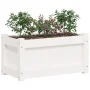 Massive weiße Kiefernholz-Pflanzschale 60x31x31 cm von , Töpfe und Pflanzgefäße - Ref: Foro24-837441, Preis: 40,10 €, Rabatt: %