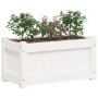Massive weiße Kiefernholz-Pflanzschale 60x31x31 cm von , Töpfe und Pflanzgefäße - Ref: Foro24-837441, Preis: 49,66 €, Rabatt: %