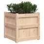 Außenblumenkästen, 2 Stück Massivholz aus Kiefer von , Töpfe und Pflanzgefäße - Ref: Foro24-837415, Preis: 103,98 €, Rabatt: %