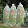 Nature Growth cover for tomato plants 1500x50 cm by Nature, Gardening accessories - Ref: Foro24-428491, Price: 24,04 €, Disco...