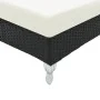 Gartenliege mit schwarzem synthetischem Rattankissen von vidaXL, Liegen - Ref: Foro24-44749, Preis: 316,55 €, Rabatt: %