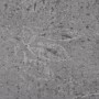 Self-adhesive PVC floor planks 5.21 m² 2 mm cement brown by , Floors and carpets - Ref: Foro24-330186, Price: 65,13 €, Discou...