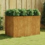Jardinera acero corten 120x80x80 cm en Maceteros y jardineras | Comprar online en Foro24