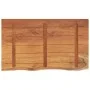 Rechteckige Massivholz-Badezimmer-Arbeitsplatte aus Akazie, 100x60x2,5 cm. von , Tischplatten - Ref: Foro24-370262, Preis: 11...