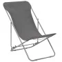 Sillas de playa plegables 2 unidades acero y tela oxford gris de vidaXL, Sillas de jardín - Ref: Foro24-44361, Precio: 63,56 ...