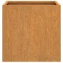 Pflanzgefäß aus Cortenstahl, 49 x 47 x 46 cm von , Töpfe und Pflanzgefäße - Ref: Foro24-821551, Preis: 63,85 €, Rabatt: %