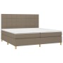 Cama box spring colchón y luces LED tela gris taupe 200x200 cm