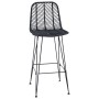 Silla de Bar 2 pcs Negro 44,5 x 53 x 111 cm Ratan e Hierro en Taburetes de cocina | Comprar online en Foro24