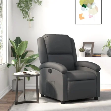 Relaxsessel aus echtem Leder in Grau von , Sessel - Ref: Foro24-371792, Preis: 298,10 €, Rabatt: %