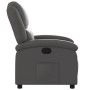 Relaxsessel aus echtem Leder in Grau von , Sessel - Ref: Foro24-371792, Preis: 303,55 €, Rabatt: %