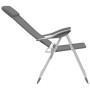 Klappbare Campingstühle 4 Einheiten aus grauem Aluminium von vidaXL, Campingmöbel - Ref: Foro24-44307, Preis: 217,17 €, Rabat...