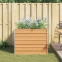 Arriate elevado Marrón Claro 100 x 100 x 77 cm en Maceteros y jardineras | Comprar online en Foro24