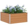 Arriate elevado Marrón Claro 100 x 100 x 45 cm en Maceteros y jardineras | Comprar online en Foro24