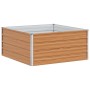 Arriate elevado Marrón Claro 100 x 100 x 45 cm en Maceteros y jardineras | Comprar online en Foro24