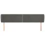 Kopfteil aus dunkelgrauem Samt, 163 x 23 x 78/88 cm von , Kopf- und Fußteile - Ref: Foro24-3117059, Preis: 68,57 €, Rabatt: %