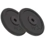 Cast iron weight plates 2 pcs 2x10 kg by vidaXL, free weight - Ref: Foro24-91394, Price: 86,59 €, Discount: %