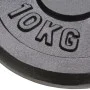 Cast iron weight plates 2 pcs 2x10 kg by vidaXL, free weight - Ref: Foro24-91394, Price: 86,59 €, Discount: %