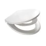 RIDDER Generation toilet seat soft close white 2119101 by RIDDER, Toilet and bidet seats - Ref: Foro24-421506, Price: 40,34 €...