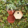 Capi Vogelhaus Hive 1 Loch rund braun 19x23x20 cm von , Vogelhäuser - Ref: Foro24-447494, Preis: 24,42 €, Rabatt: %