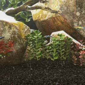 Black aquarium sand 10 kg 0.2-2 mm by , Substrates and sand for aquariums - Ref: Foro24-3217156, Price: 29,84 €, Discount: %