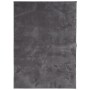 Alfombra de pelo corto suave lavable HUARTE antracita 240x340cm de , Alfombras - Ref: Foro24-375007, Precio: 213,12 €, Descue...