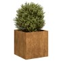 Jardinera oxidada 40x40x40 cm acero corten en Maceteros y jardineras | Comprar online en Foro24