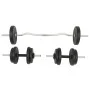 Juego de barras y pesas 30 kg de vidaXL, Peso libre - Ref: Foro24-91400, Precio: 92,13 €, Descuento: %